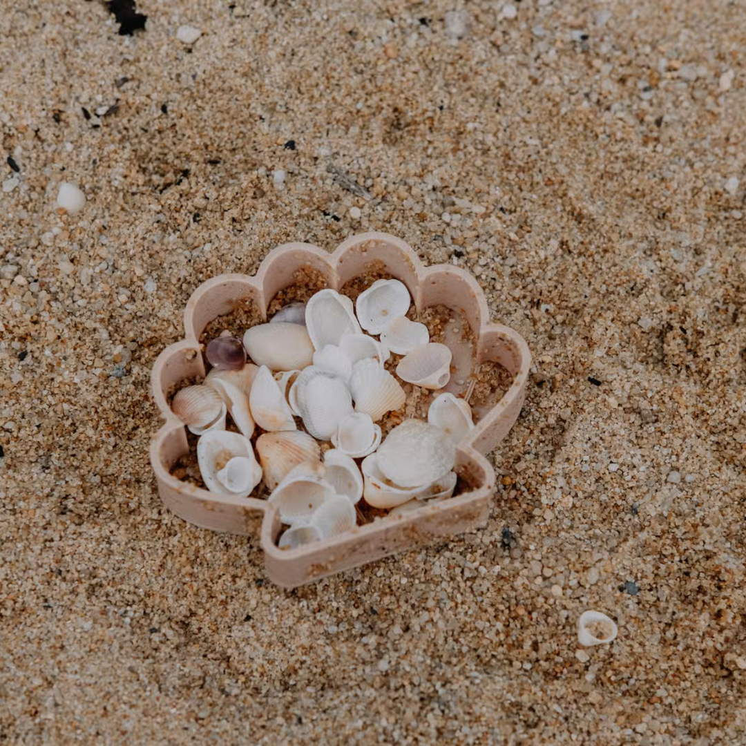 Sea Shell Eco Mould