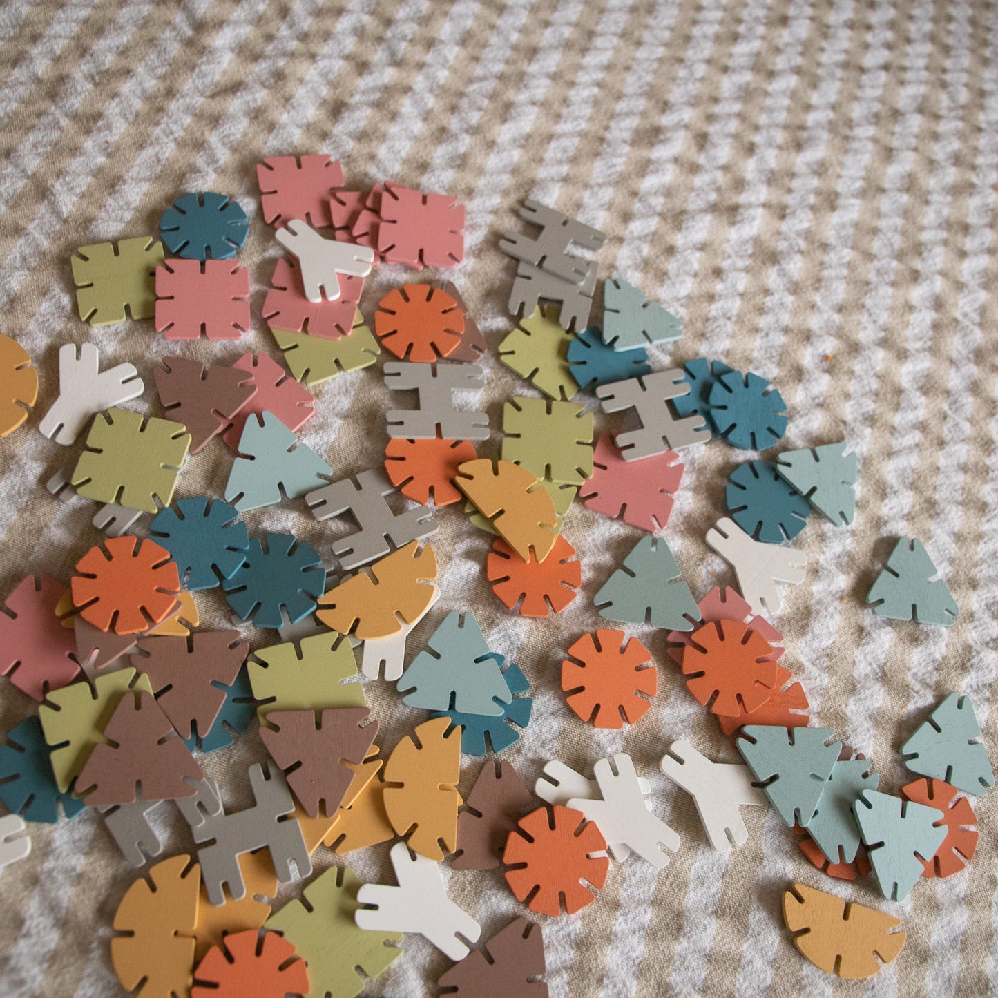 Geometry Connecting Shapes