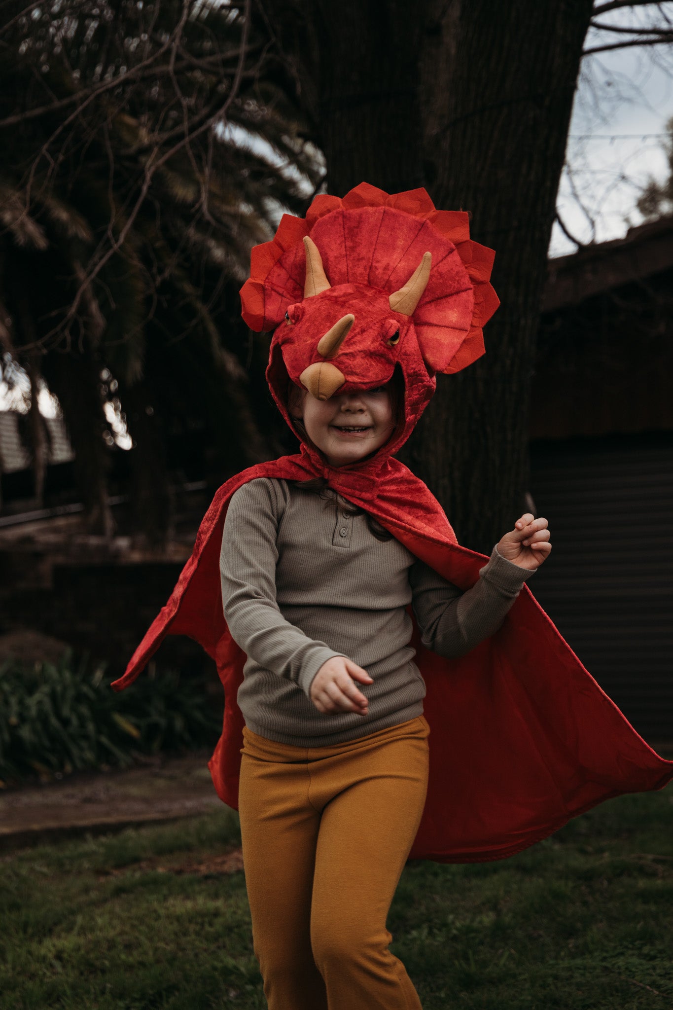 Triceratops Hooded Cape