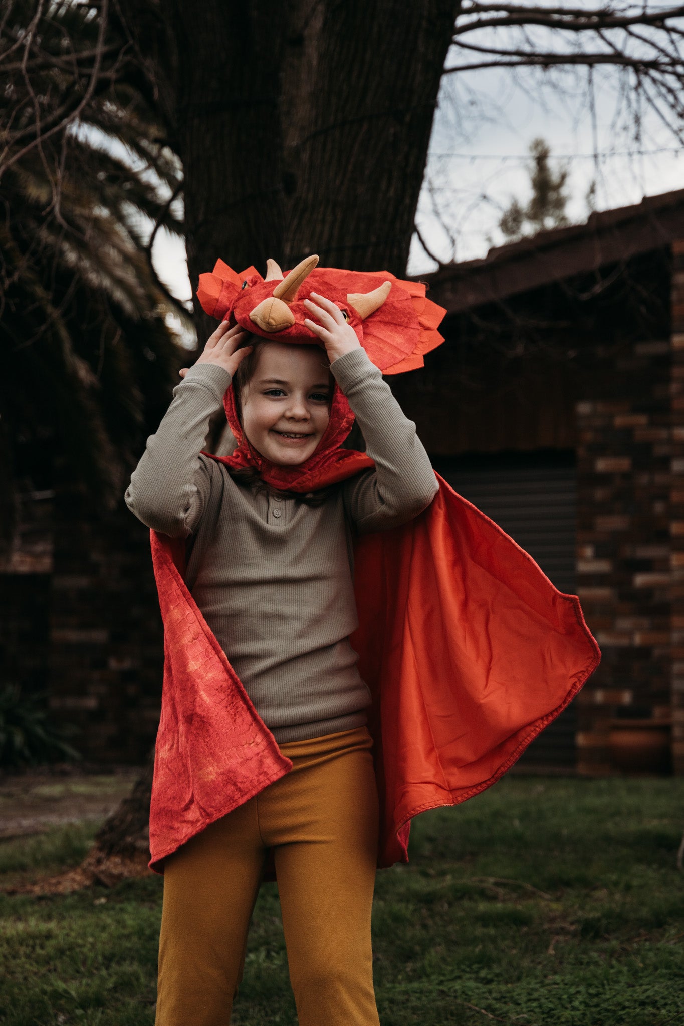 Triceratops Hooded Cape