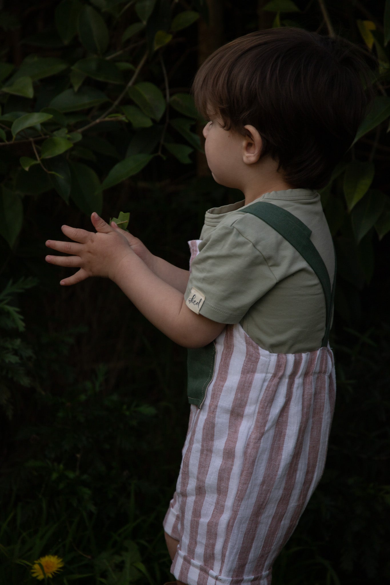 Mouse King Overalls