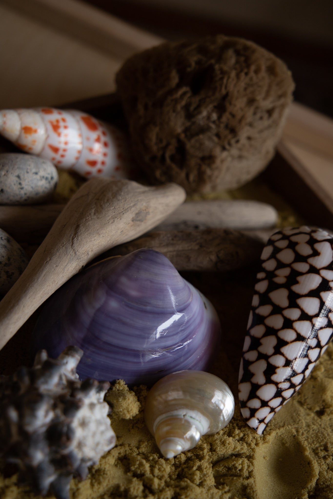 Beachcomber Sensory Set