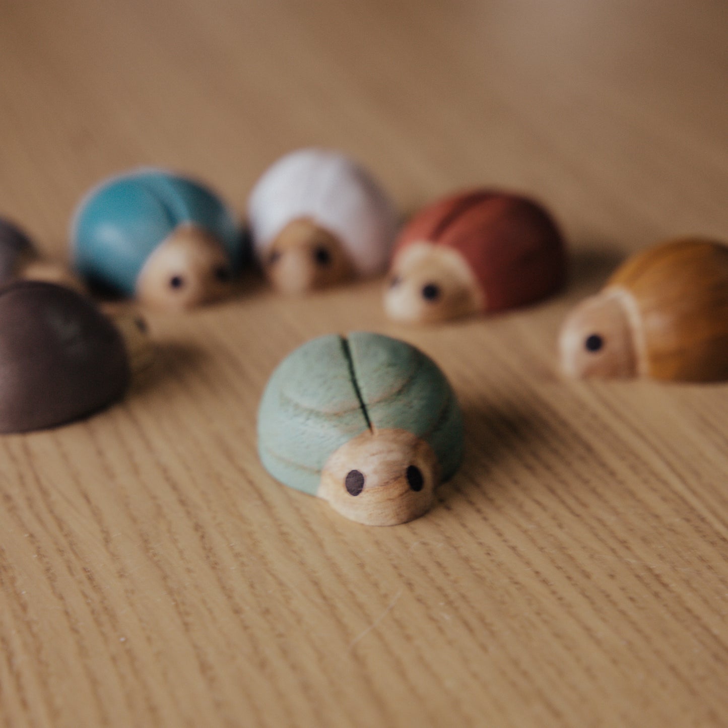 Colour Sorting Beetles